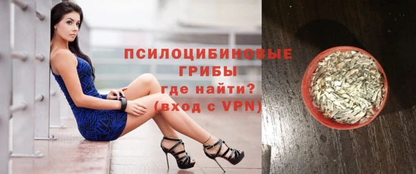 шишки Наволоки