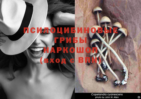 apvp Медвежьегорск