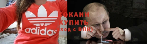 индика Верея