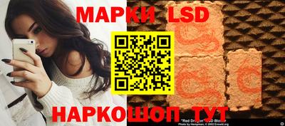 МДПВ Кингисепп