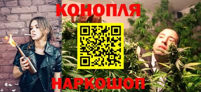 МДПВ Кингисепп