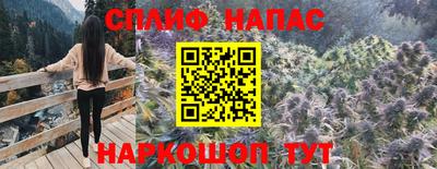 МДПВ Кингисепп