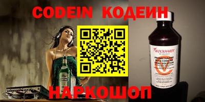МДПВ Кингисепп