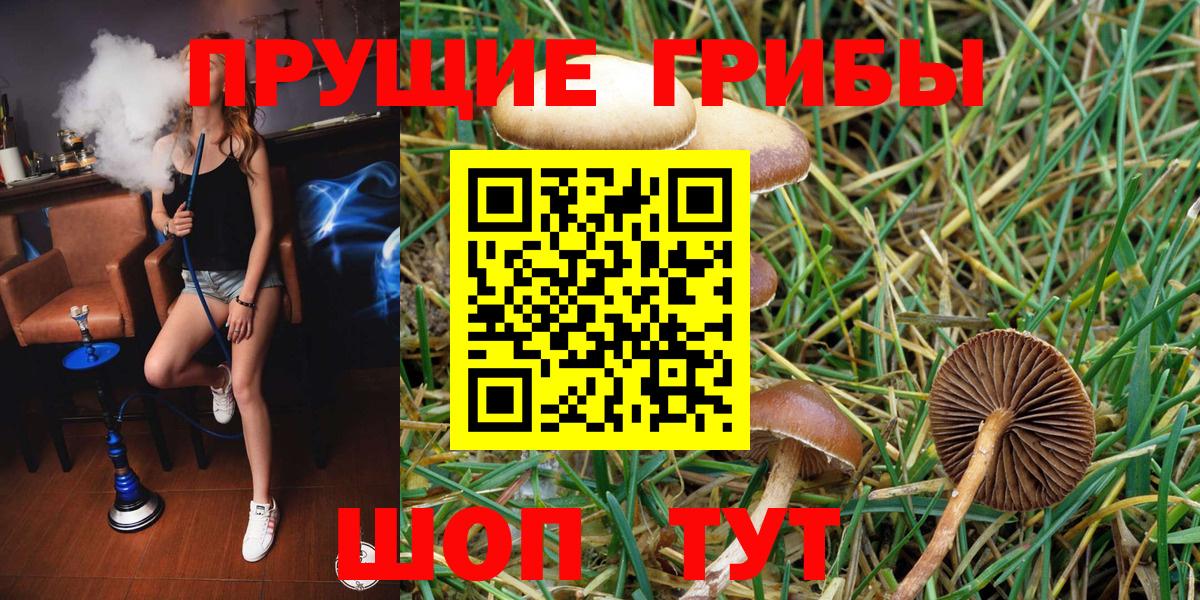 Галлюциногенные грибы мицелий Солнечногорск